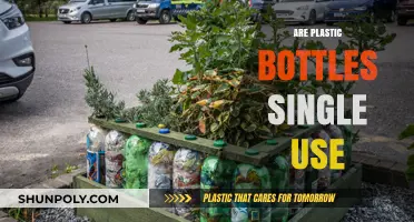Are Plastic Bottles Truly Single-Use? Exploring Their Hidden Potential