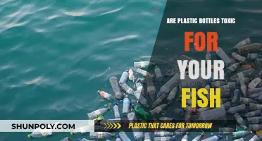 Are Plastic Bottles Harmful to Your Fish? A Toxicity Guide