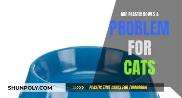 Plastic Bowls: A Health Hazard for Cats?