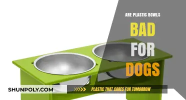 Are Plastic Bowls Harmful to Dogs? A Comprehensive Guide