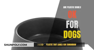 Plastic Bowls: Safe or Unsafe for Dogs?