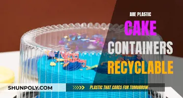 Cake Containers: Plastic Recycling Options and Alternatives