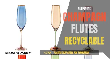 Champagne Flutes: Plastic Party, Recyclable Hangover?