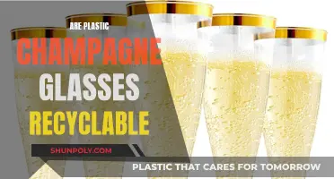 Unveiling the Truth: Can Plastic Champagne Glasses Be Recycled?