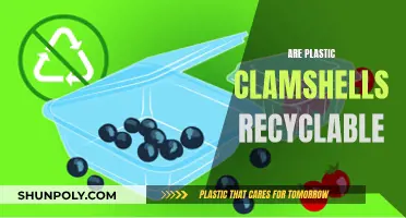 Unraveling the Mystery: Can Plastic Clamshells Be Recycled?