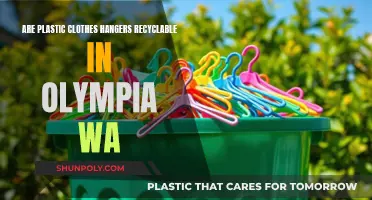 Recycling Plastic Hangers: Olympia, WA's Guide