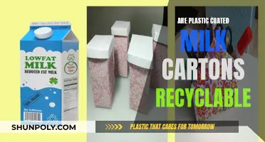 Unraveling the Mystery: Can Plastic-Coated Milk Cartons Be Recycled?