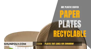 Unraveling the Mystery: Can Plastic-Coated Paper Plates Be Recycled?