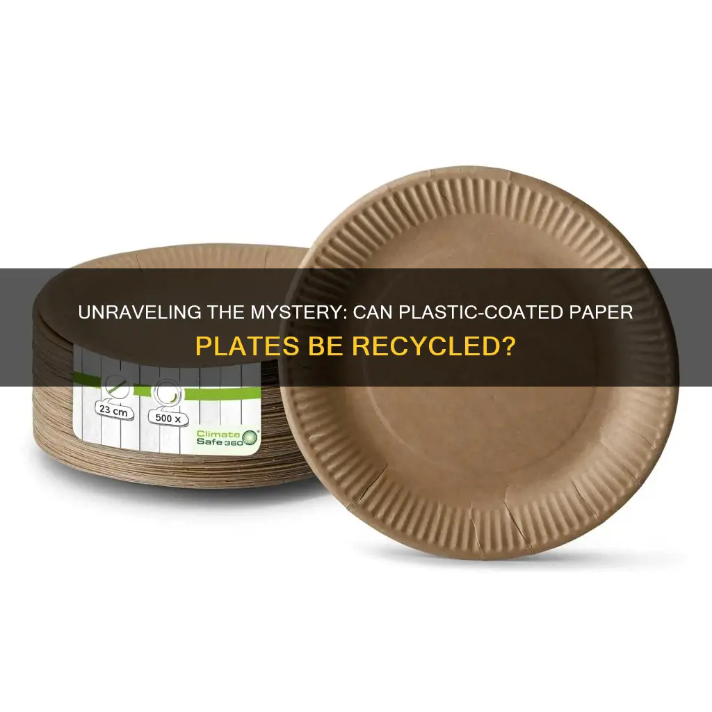 are plastic coated paper plates recyclable