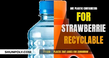 Strawberry Containers: Are Plastic Packaging Recyclable?