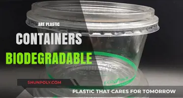 Plastic Containers: Biodegradable or Not?