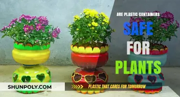 Plastic Containers: Safe Plant Homes?