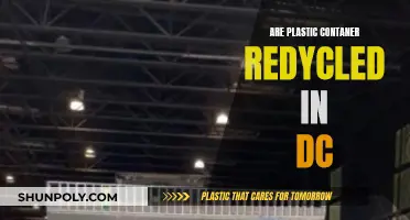 Plastic Containers: DC's Recycling Secrets Revealed
