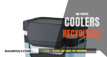 Unraveling the Mystery: Can Plastic Coolers Be Recycled?