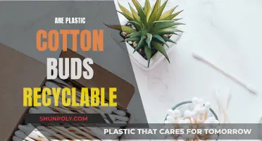 Are Cotton Buds Recyclable? The Plastic Problem