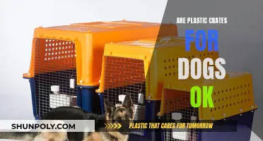 Plastic Crates for Dogs: Safe or Not?