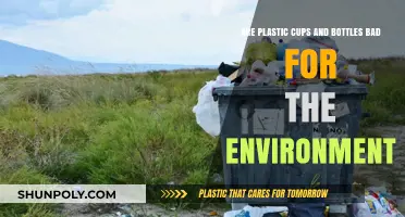 Plastic Cups and Bottles: Environmental Impact and Sustainable Alternatives