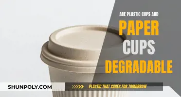 Plastic vs Paper Cups: Which Are Truly Degradable?