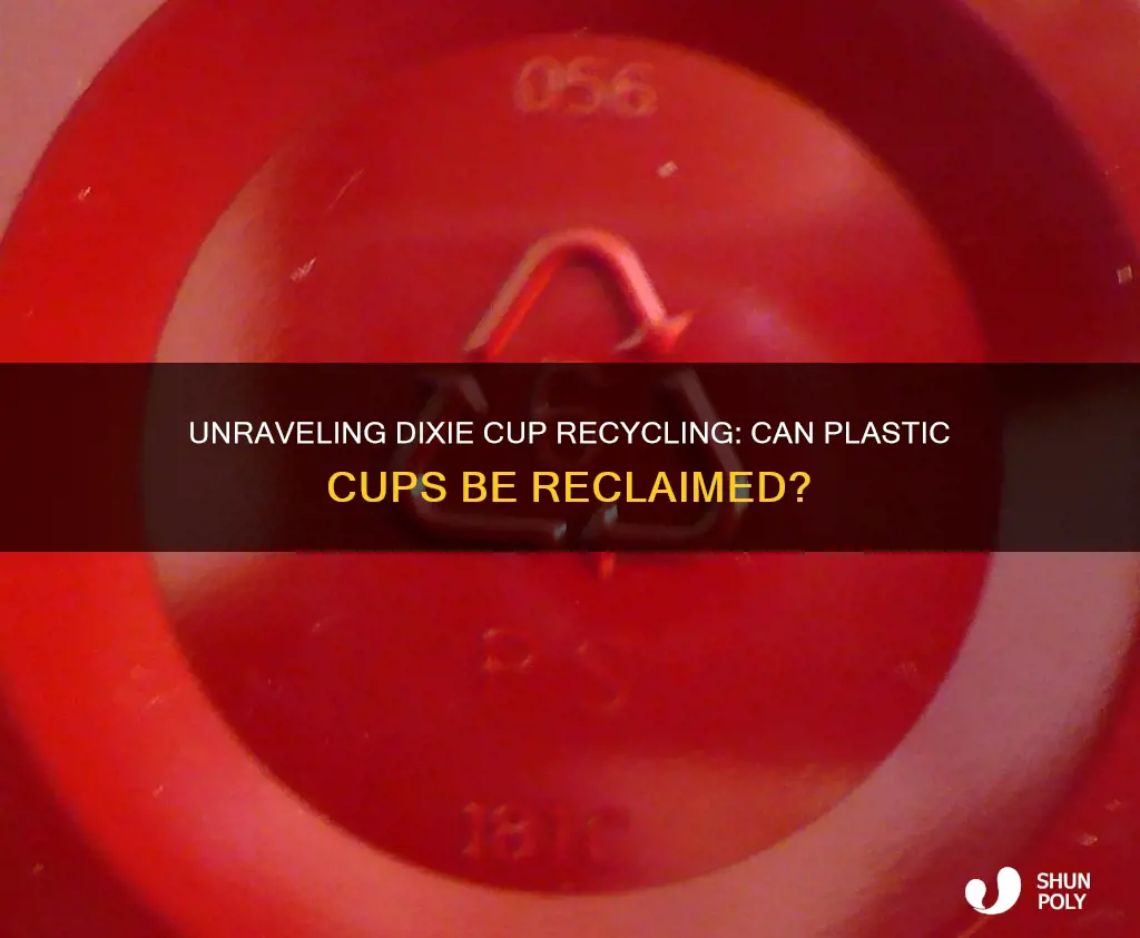 are plastic dixie cups recyclable