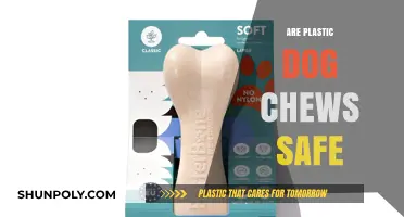 Chewing on Safety: The Truth About Plastic Dog Chews