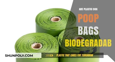 Are Plastic Poop Bags Eco-Friendly?