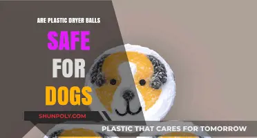 Are Plastic Dryer Balls Safe for Dogs: A Comprehensive Guide