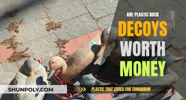 Plastic Duck Decoys: Valuable or Worthless?