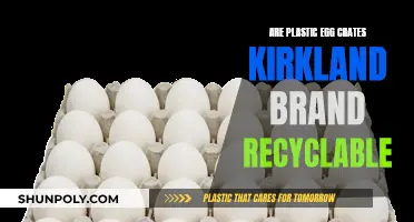 Can You Recycle Kirkland's Plastic Egg Crates?