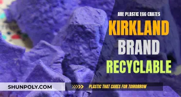 Recycling Kirkland's Plastic Egg Crates: What You Need to Know