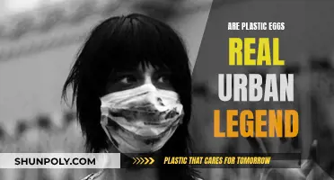 Plastic Eggs: Urban Legend or Reality?
