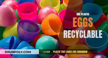 Unraveling the Mystery: Can Plastic Eggs Be Recycled?