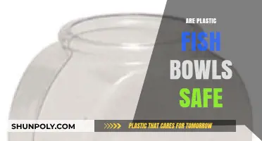 Exploring the Safety of Plastic Fish Bowls for Aquatic Life