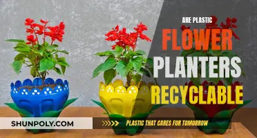 Plastic Planters: Can They Be Recycled?