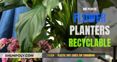 Plastic Flower Planters: Are They Recyclable?