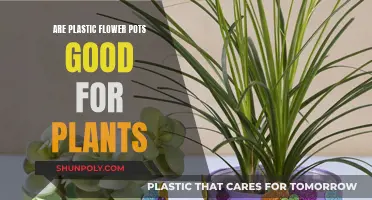 Plastic Flower Pots: Good or Bad for Plants?