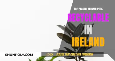 Recycling Plastic Flower Pots in Ireland: What's the Verdict?