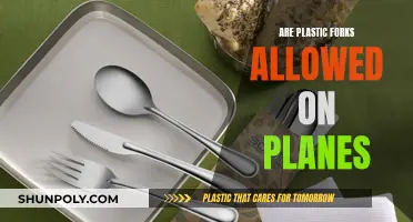 Plastic Forks: Allowed or Forbidden on Planes?