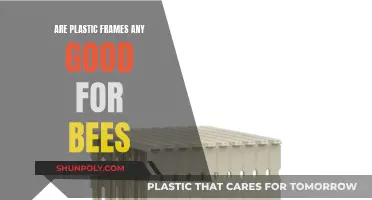 Plastic Frames: Good or Bad for Bees?