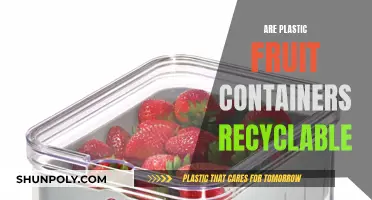 Unraveling the Mystery: Can Plastic Fruit Containers Be Recycled?