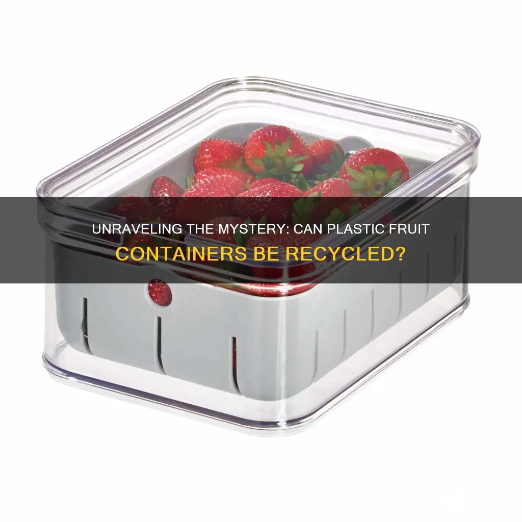 are plastic fruit containers recyclable