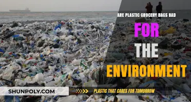 Plastic Bags: Environmental Impact and Sustainable Alternatives