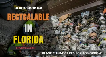 Florida's Plastic Bag Recycling: What's the Deal?