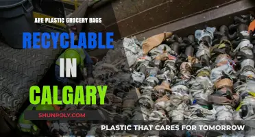 Calgary's Plastic Bag Recycling: What's the Deal?