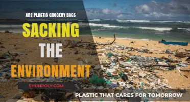 Plastic Bags: Environmental Impact and Sustainable Alternatives