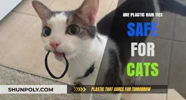 Feline-Friendly Hair Ties: Safe or Hazardous for Your Cat?