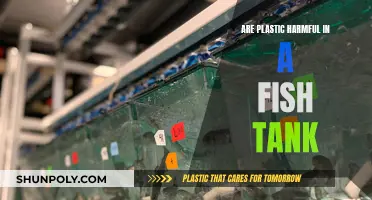 Plastic in Fish Tanks: Harmful or Harmless?