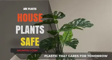 Toxicity in Decor: Are Plastic House Plants Safe for Your Home?