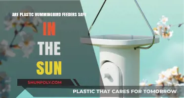 Sun Safety for Plastic Hummingbird Feeders: A Complete Guide