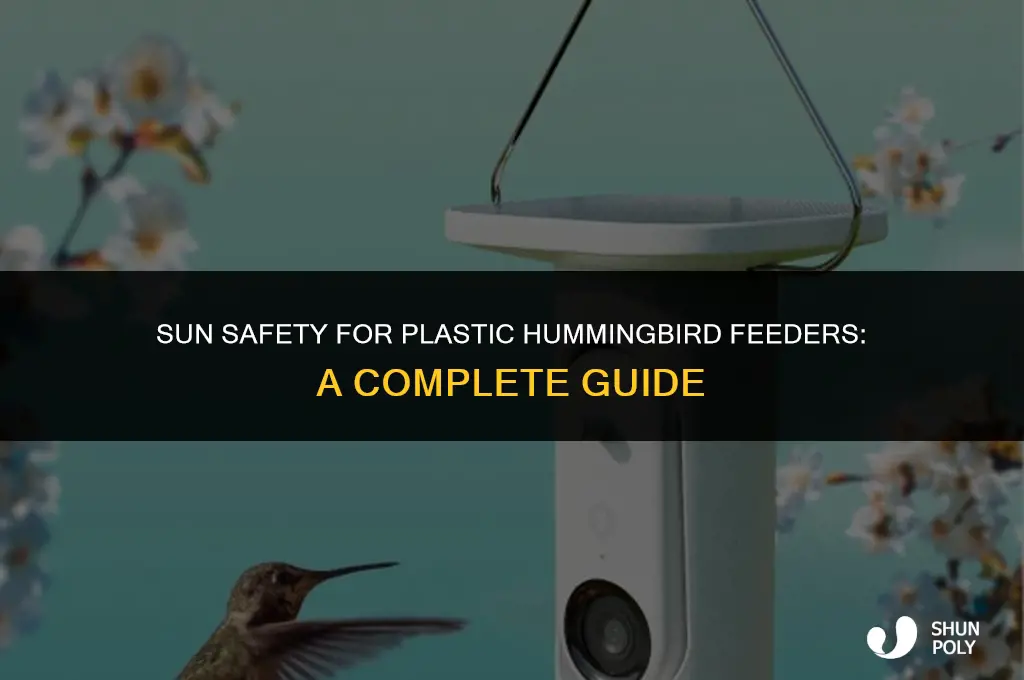 are plastic hummingbird feeders safe in the sun