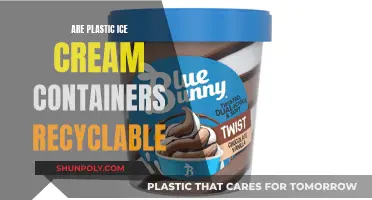 Unraveling the Mystery: Can Plastic Ice Cream Containers Be Recycled?